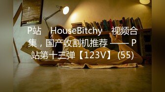 P站⭐ HouseBitchy ⭐视频合集，国产收割机推荐 —— P站第十三弹【123V】 (55)