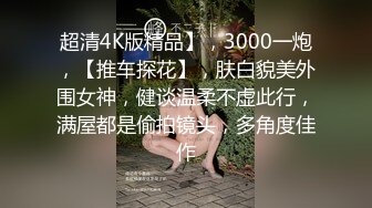 超清4K版精品】，3000一炮，【推车探花】，肤白貌美外围女神，健谈温柔不虚此行，满屋都是偷拍镜头，多角度佳作