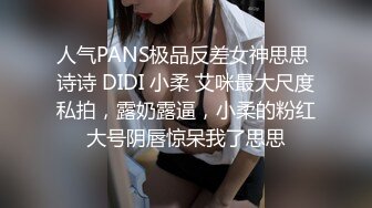 人气PANS极品反差女神思思 诗诗 DIDI 小柔 艾咪最大尺度私拍，露奶露逼，小柔的粉红大号阴唇惊呆我了思思