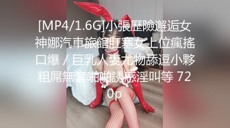 [MP4/1.6G]小張歷險邂逅女神娜汽車旅館肛塞女上位瘋搖口爆／巨乳人妻尤物舔逗小夥粗屌無套啪啪誘惑淫叫等 720p