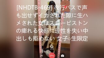 [NHDTB-469] 夜行バスで声も出せずイカされた隙に生ハメされた女はスローピストンの痺れる快感に理性を失い中出しも拒めない 女子○生限定6