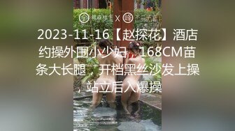 2023-11-16【赵探花】酒店约操外围小少妇，168CM苗条大长腿，开档黑丝沙发上操，站立后入爆操