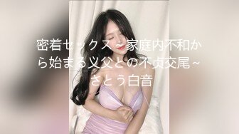 密着セックス～家庭内不和から始まる义父との不贞交尾～ さとう白音