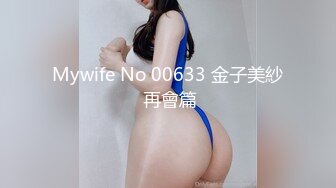 Mywife No 00633 金子美紗 再會篇