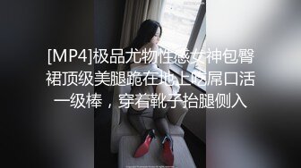 [MP4]极品尤物性感女神包臀裙顶级美腿跪在地上吃屌口活一级棒，穿着靴子抬腿侧入