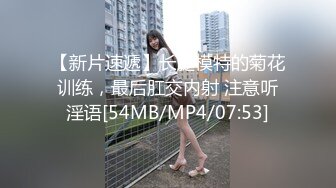 【新片速遞】长腿模特的菊花训练，最后肛交内射 注意听淫语[54MB/MP4/07:53]