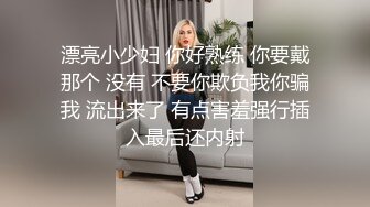 良家人妻口交