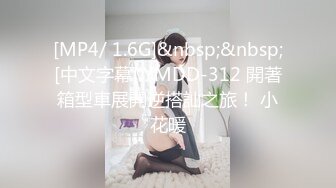 [MP4/ 1.6G]&nbsp;&nbsp;[中文字幕] YMDD-312 開著箱型車展開逆搭訕之旅！ 小花暖