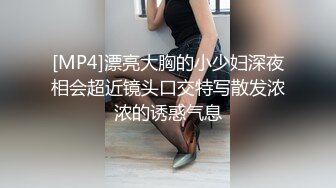 [MP4]漂亮大胸的小少妇深夜相会超近镜头口交特写散发浓浓的诱惑气息