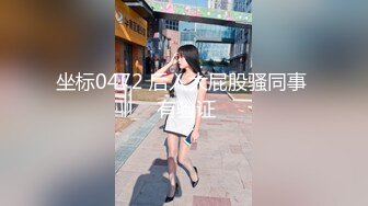 坐标0472 后入大屁股骚同事  有验证