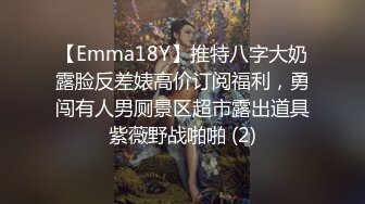 【Emma18Y】推特八字大奶露脸反差婊高价订阅福利，勇闯有人男厕景区超市露出道具紫薇野战啪啪 (2)