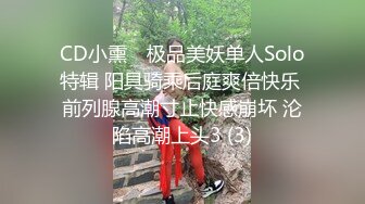 CD小熏✨ 极品美妖单人Solo特辑 阳具骑乘后庭爽倍快乐 前列腺高潮寸止快感崩坏 沦陷高潮上头3 (3)