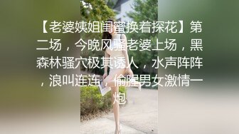 【老婆姨姐闺蜜换着探花】第二场，今晚风骚老婆上场，黑森林骚穴极其诱人，水声阵阵，浪叫连连，偷腥男女激情一炮