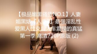 【极品媚黑骚货NO.1】人妻媚黑婊『人妻Z』最强淫乱性爱黑人性交后入车震操的真猛 第一季 高清720P原版 (2)