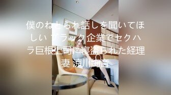 僕のねとられ話しを聞いてほしい ブラック企業でセクハラ巨根上司に寝盗られた経理妻 涼川絢音