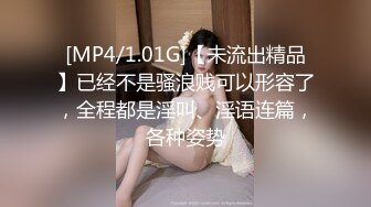 [MP4/1.01G]【未流出精品】已经不是骚浪贱可以形容了，全程都是淫叫、淫语连篇，各种姿势