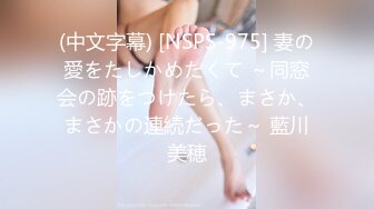 (中文字幕) [NSPS-975] 妻の愛をたしかめたくて ～同窓会の跡をつけたら、まさか、まさかの連続だった～ 藍川美穂