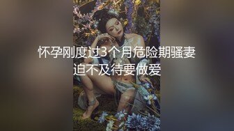 怀孕刚度过3个月危险期骚妻迫不及待要做爱