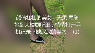 颜值杠杠的美女，天黑 尾随她到大楼厕所里，悄悄打开手机记录下她尿尿的美穴！ (1)