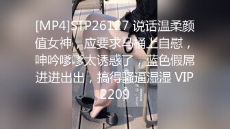 [MP4]STP26127 说话温柔颜值女神，应要求马桶上自慰，呻吟嗲嗲太诱惑了，蓝色假屌进进出出，搞得骚逼湿湿 VIP2209