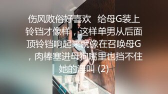 伤风败俗好喜欢♈给母G装上铃铛才像样，这样单男从后面顶铃铛响起来就像在召唤母G，肉棒塞进母狗嘴里也挡不住她的淫叫 (2)