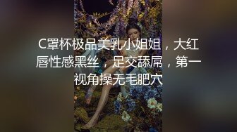 C罩杯极品美乳小姐姐，大红唇性感黑丝，足交舔屌，第一视角操无毛肥穴